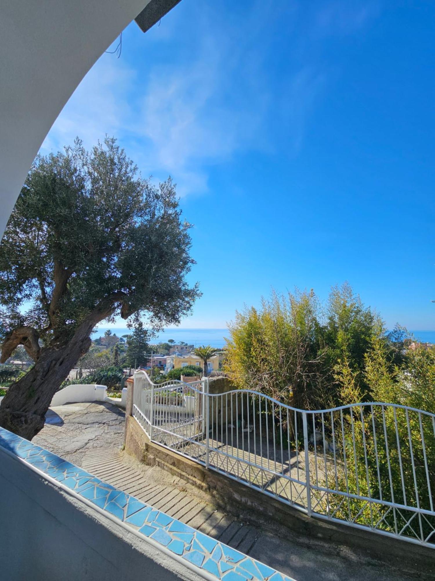 Residence Limoneto Ischia Forio di Ischia Zewnętrze zdjęcie