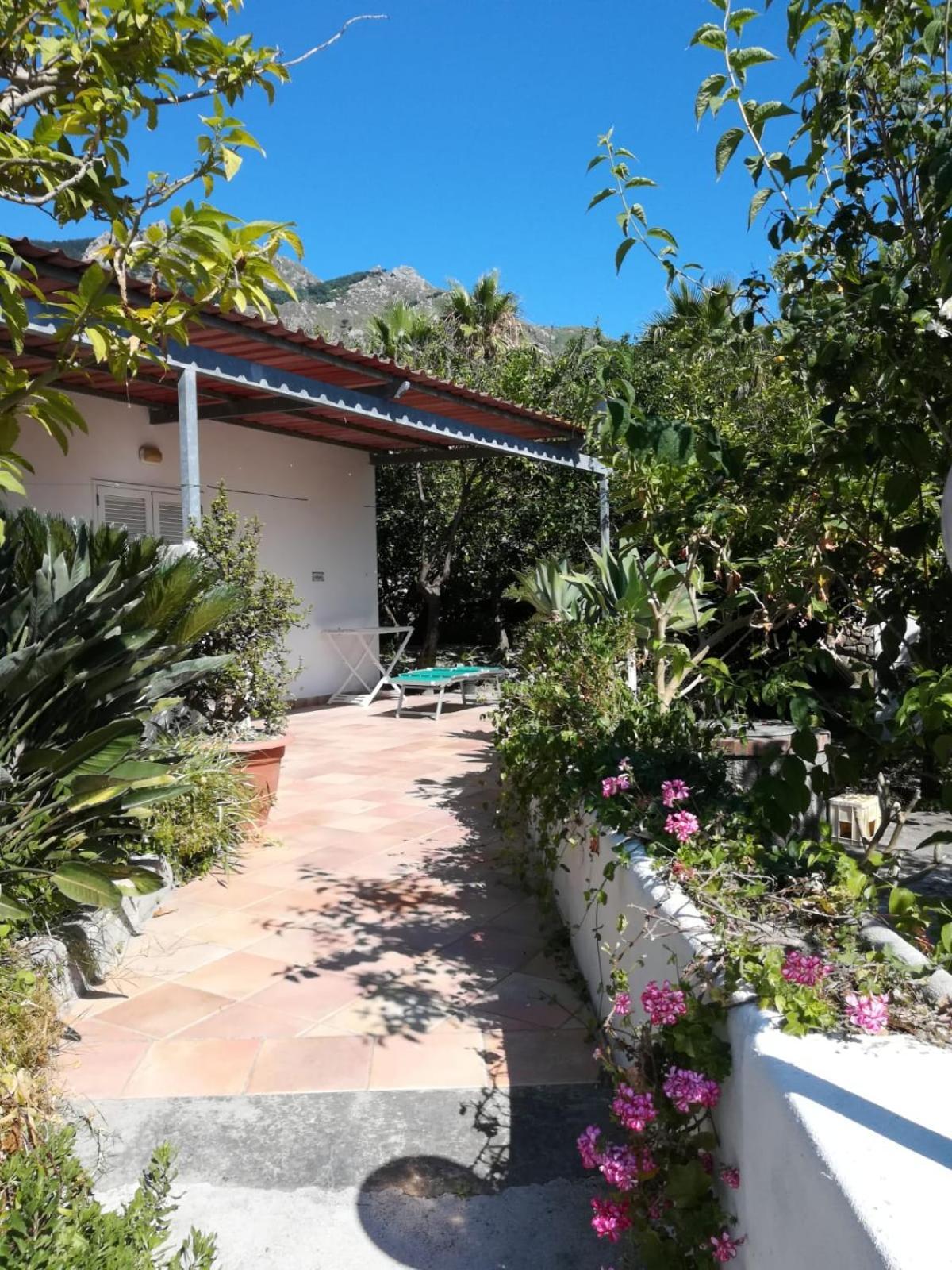 Residence Limoneto Ischia Forio di Ischia Zewnętrze zdjęcie