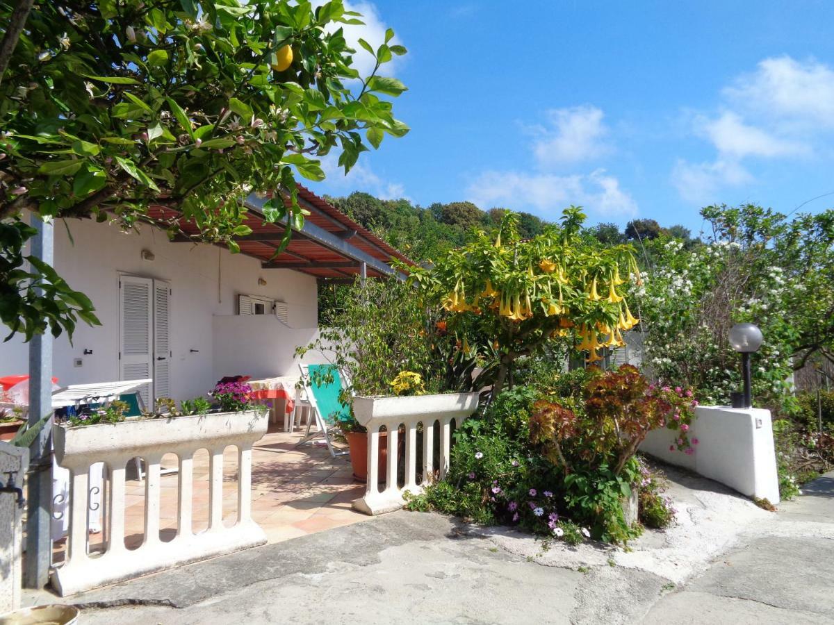 Residence Limoneto Ischia Forio di Ischia Zewnętrze zdjęcie