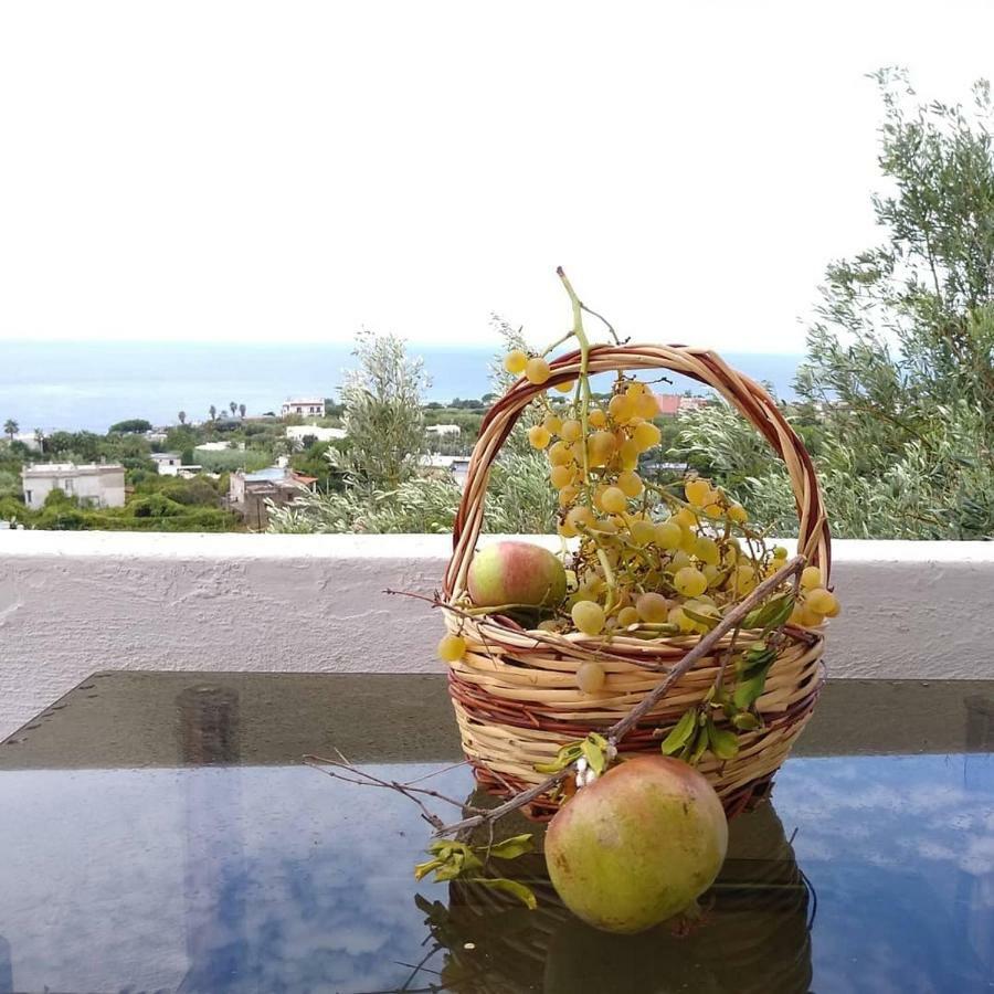 Residence Limoneto Ischia Forio di Ischia Zewnętrze zdjęcie