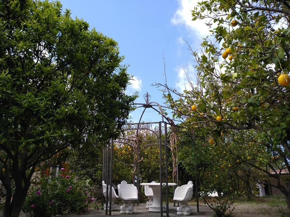Residence Limoneto Ischia Forio di Ischia Zewnętrze zdjęcie